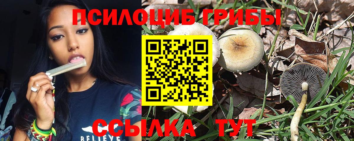 купить   Галлюциногенные грибы Magic Shrooms  Вход с VPN  Заволжье 