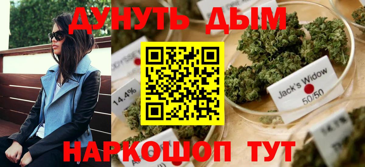 Бошки Шишки сатива Заволжье